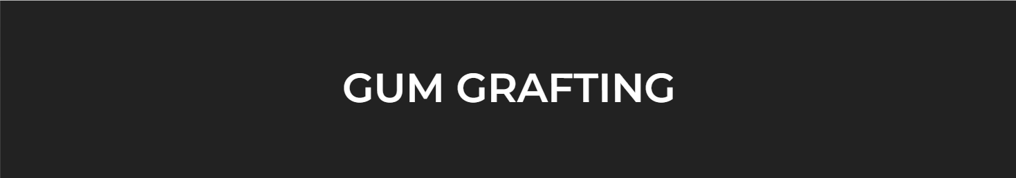Gum grafting