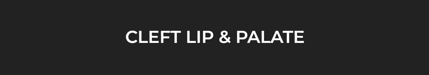 C;eft Lip and palete